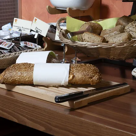 ホテル Plaza バート・ラッペナウ