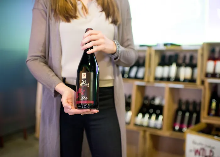 Plaza 3* Bad Rappenau