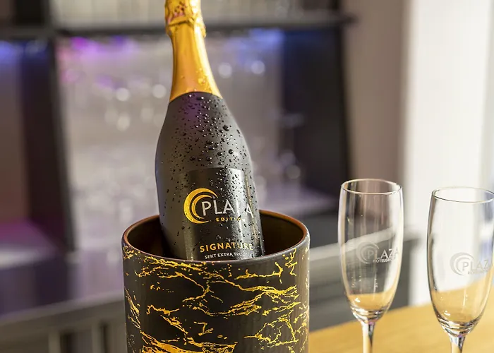 Plaza Hotel Bad Rappenau